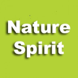 Nature Spirit